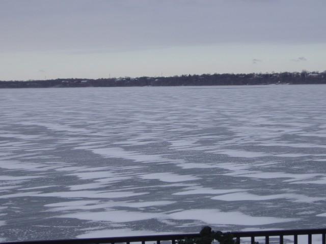 Buffalo Lake Thursday 9AM Dec 4, 2008